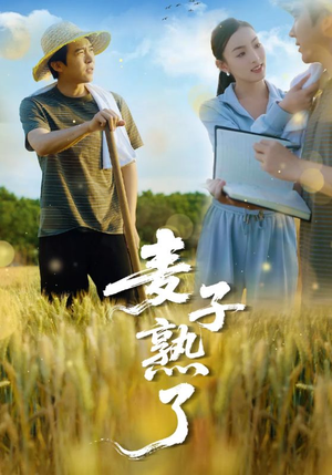 麦子熟了（52集）看完还想看的精彩短剧