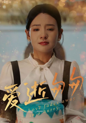爱逝匆匆（30集）看过的人都说好