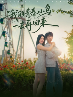 我的青春小鸟一去再回来（95集）一口气看到最新短剧大结局