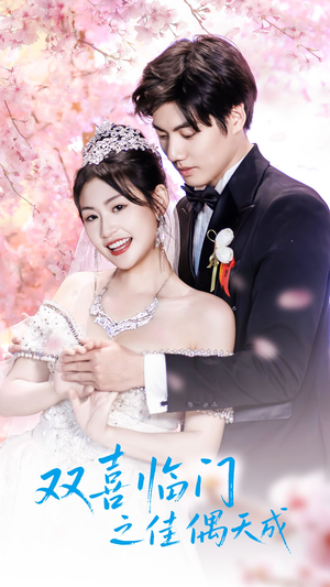 双喜临门之佳偶天成（42集）好看到停不下的短剧