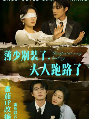 薄少别装了夫人跑路了（60集）短剧大结局完整版免费看