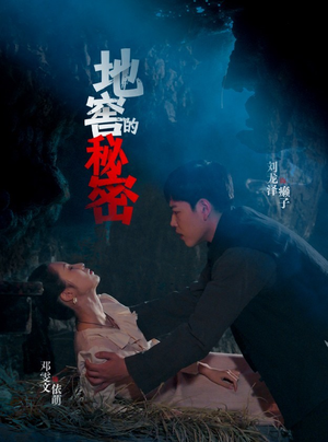 地窖的秘密（40集）热门短剧全集观看
