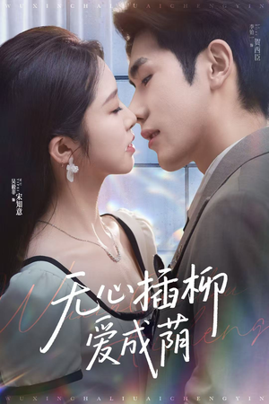 无心插柳爱成荫（80集）一毛不花追完短剧