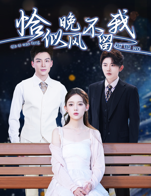 恰似晚风不留我＆弃他如风（51集）在线免费观看热门短剧