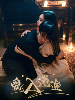 爱入迷途（67集）短剧抢先看精彩无限量