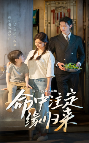 命中注定缘归来（63集）百亿短剧抢先看