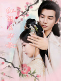 短剧《红颜风华录》85集短剧蓝光画质完整版在线看