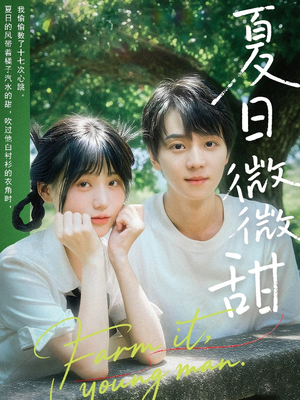 夏日微微甜（79集）好看的短剧又来了抢先看