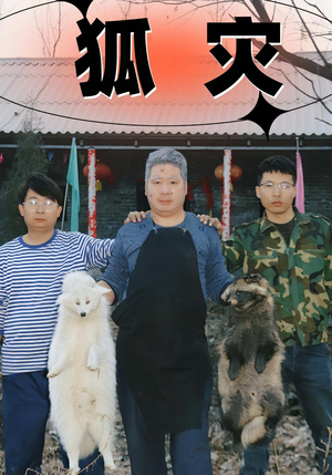 狐灾（25集）超精彩热门短剧推荐