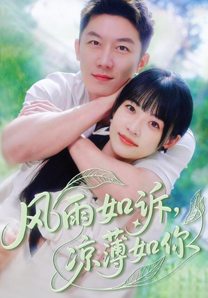风雨如诉凉薄如你（70集）免费观看热门短剧