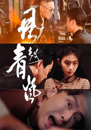 风起青岚（96集）超好看短剧追不停