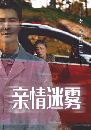 亲情迷雾（30集）好看又精彩的短剧