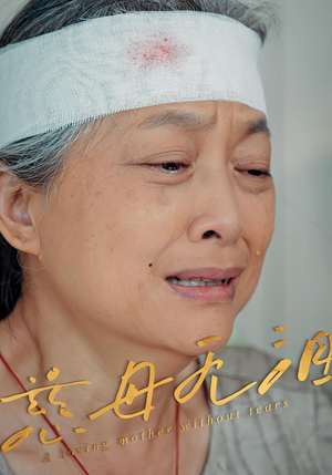 短剧《慈母无泪》30集短剧全集剧情抢先在线看