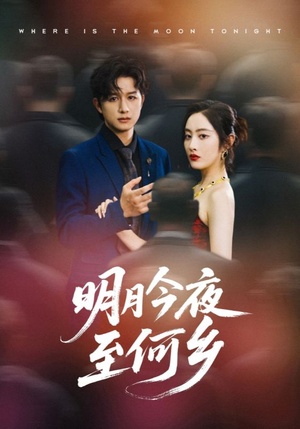明月今夜至何乡（70集）精彩短剧连连免费看