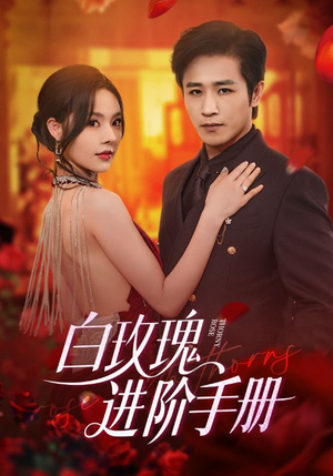 白玫瑰进阶手册（64集）短剧追到爽大结局来了
