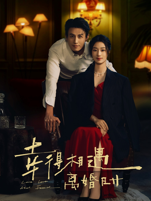 幸得相遇离婚时（81集）短剧全集高清完整版