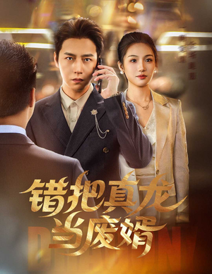 短剧《错把真龙当废婿》60集短剧全集一键观看无压力