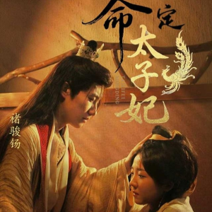 命定太子妃（63集）最新火热短剧抢先看