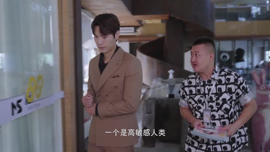 短剧《对不起我磕到你了》20集短剧完整版高清免费看