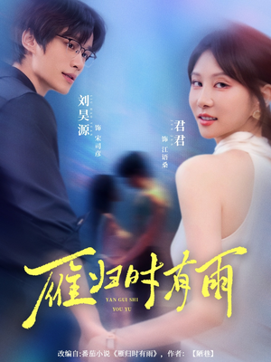 雁归时有雨（84集）短剧经典全集任你选