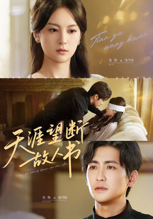天涯望断故人书(60集) 天涯望断故人书(60集)精彩短剧持续更新全集抢先看
