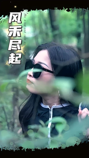 短剧《风禾尽起》31集短剧全集免费高清点播