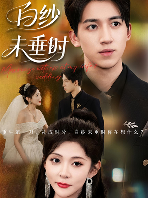 老婆婚礼，我当证婚人（54集）短剧免费在线看全集