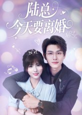 陆总今天要离婚（81集）超好看的短剧强烈推荐