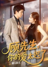 顾先生你的爱太迟了（60集）热播短剧停不下来