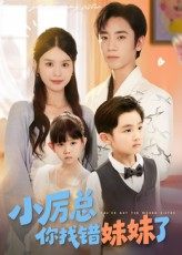 小厉总你找错妹妹了（52集）短剧超清全集在线看