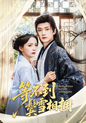 短剧《等不到鬓雪相拥》61集短剧超清画质畅享全集看