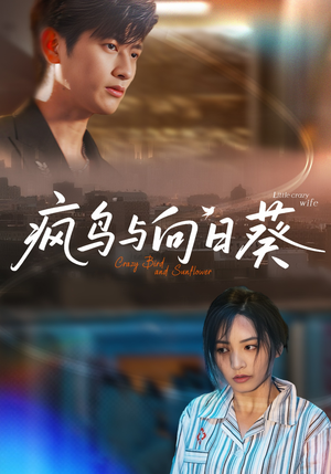 短剧《疯鸟与向日葵》40集短剧免费高清全集观看