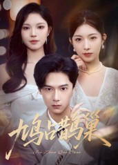 鸠占鹊巢（70集）热播短剧免费看