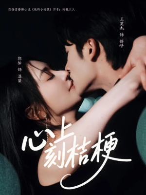 短剧《心上刻桔梗》90集短剧无广告免费看全集