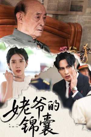 姥爷的锦囊（63集）热门短剧持续更新大结局