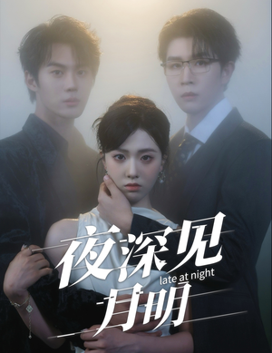 短剧《夜深见月明》50集短剧超清画质免费追剧