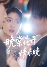 短剧《晚棠花开情未晚》30集短剧在线畅享全集不卡顿