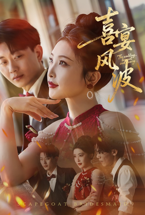 替罪伴娘（30集）短剧全剧终在线连看