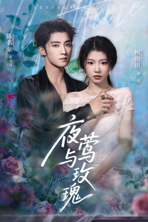 短剧《夜莺与玫瑰》66集短剧无广告全集免费追剧