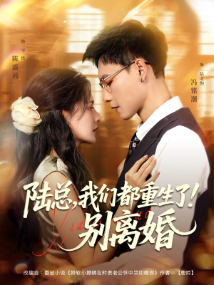 短剧《陆总我们都重生了别离婚》79集短剧高清无删减在线观看