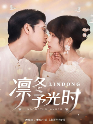凛冬予光时（60集）整部短剧免费看个够