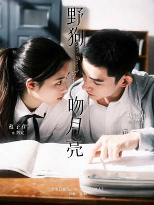 野狗吻月亮（68集）百亿短剧好看计划
