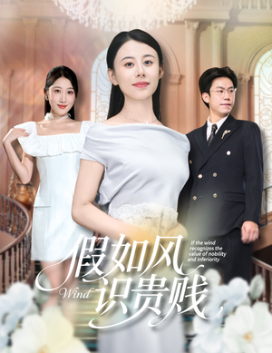 假如风识贵贱（58集）短剧小说在线看