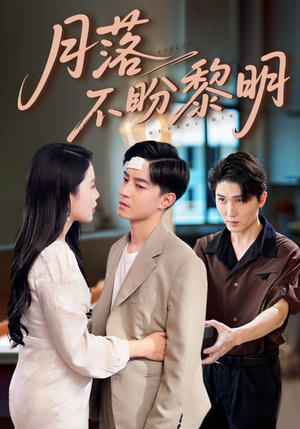 月落不盼黎明（64集）在线观看短剧完整版
