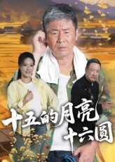 十五的月亮十六圆（60集）在线免费观看排行榜前十短剧