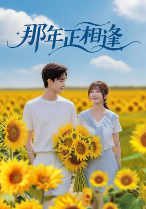 那年正相逢（60集）终于可以免费观看短剧了