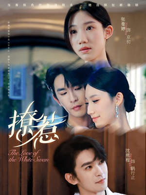 短剧《撩惹》80集短剧1080P高清免费观看