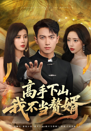 短剧《高手下山我不当赘婿》66集短剧高清无广告免费观看