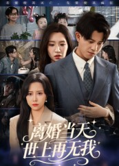 短剧《离婚当天世上再无我》60集短剧高清无删减版免费观看