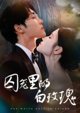 囚笼里的白玫瑰（59集）每天分享好看短剧
